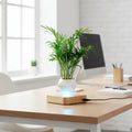 https://cdn.shopify.com/s/files/1/0965/8109/1655/files/3ee9a210-2708-42c7-b39d-f7f53080deff_554b25bb-1a59-4a06-aac2-63a420444f10.webp?v=1772119781