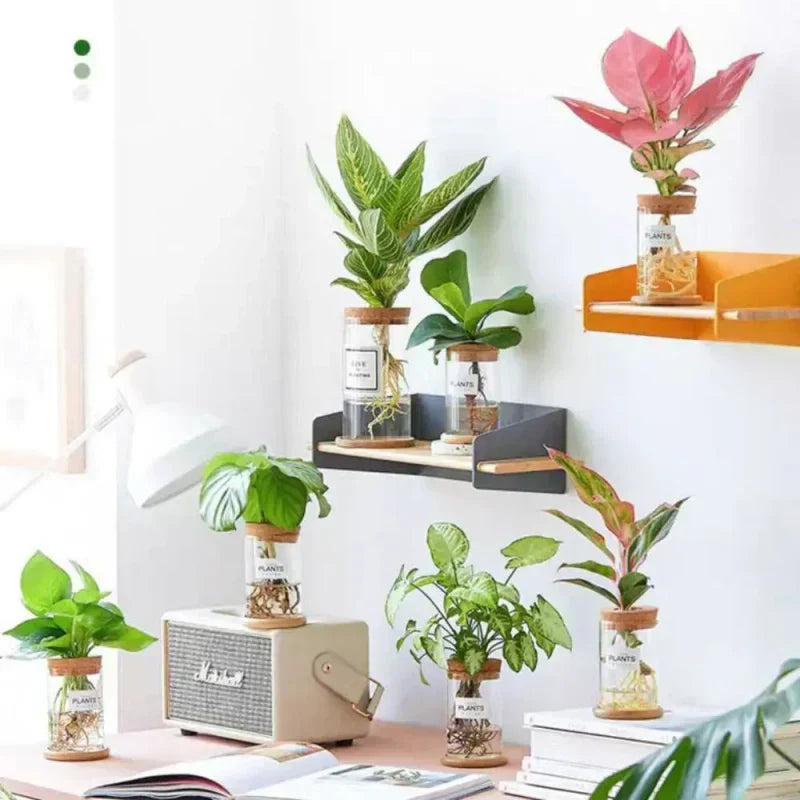 https://cdn.shopify.com/s/files/1/0965/8109/1655/files/461cf1a8-e61d-42a5-a27f-7b3ee411948b_c342fe09-ebc7-4a49-85c9-abfa8ce83980.webp?v=1772119782