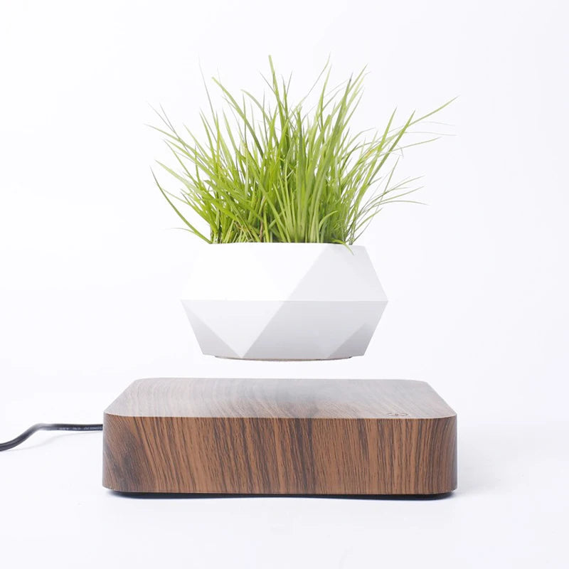 Pot bonsaï lévitant magnétique