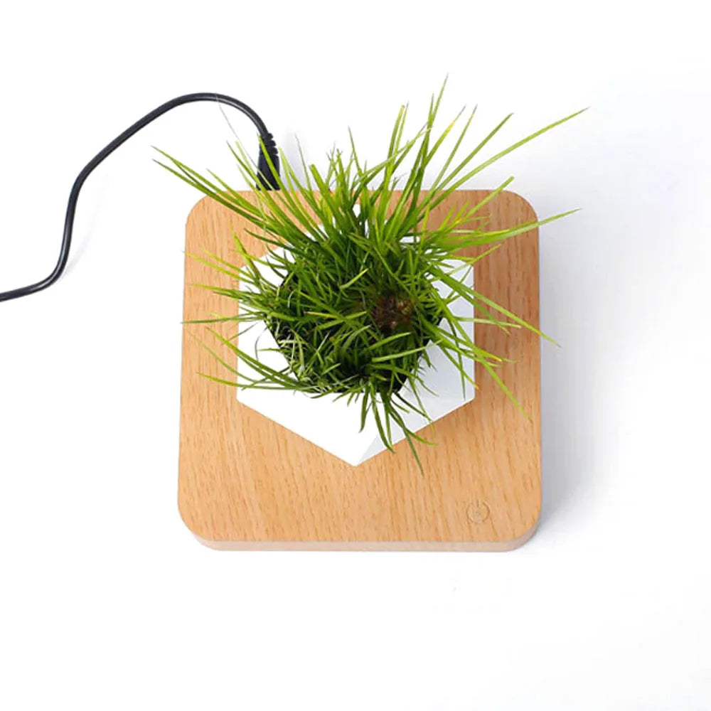 Pot bonsaï lévitant magnétique
