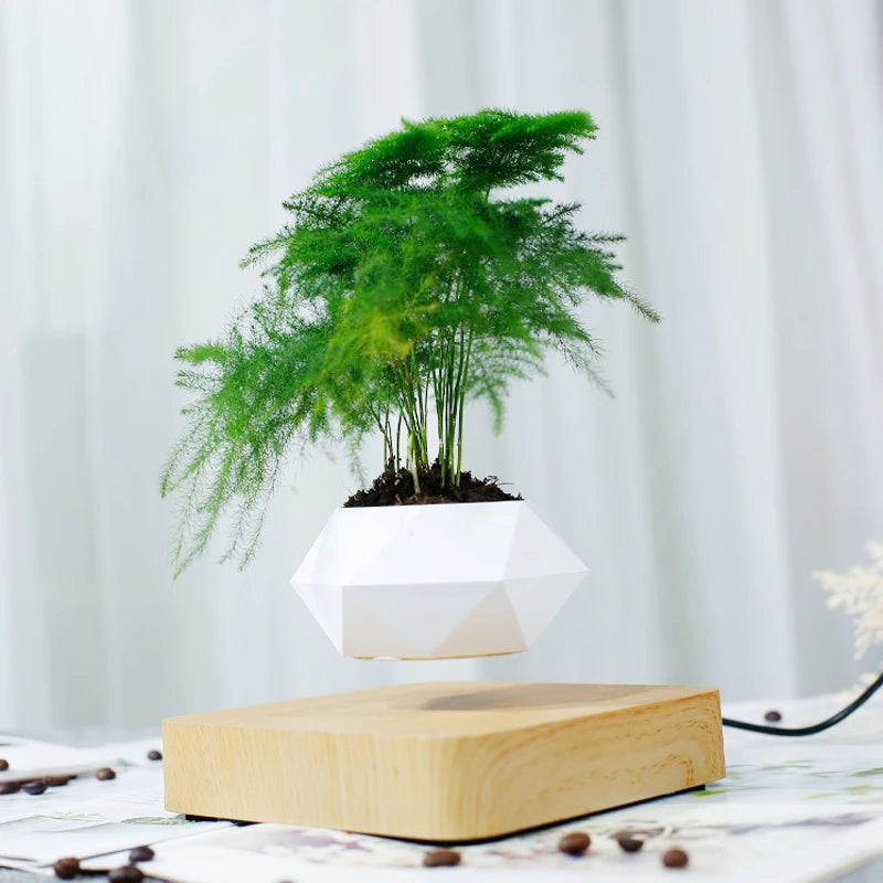 Pot bonsaï lévitant magnétique