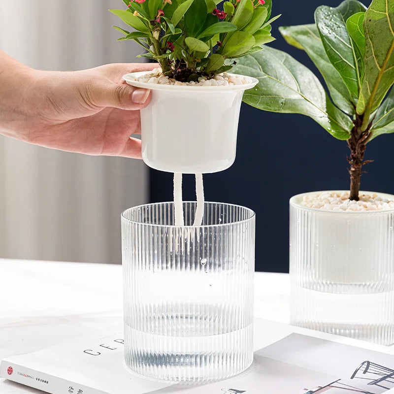 Pot auto-arrosant – Plantes succulentes & intérieur