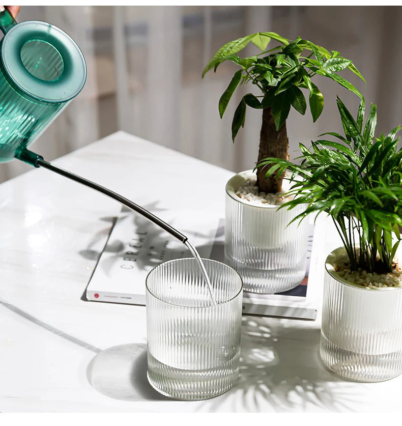 Pot auto-arrosant – Plantes succulentes & intérieur