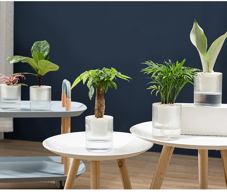 Pot auto-arrosant – Plantes succulentes & intérieur