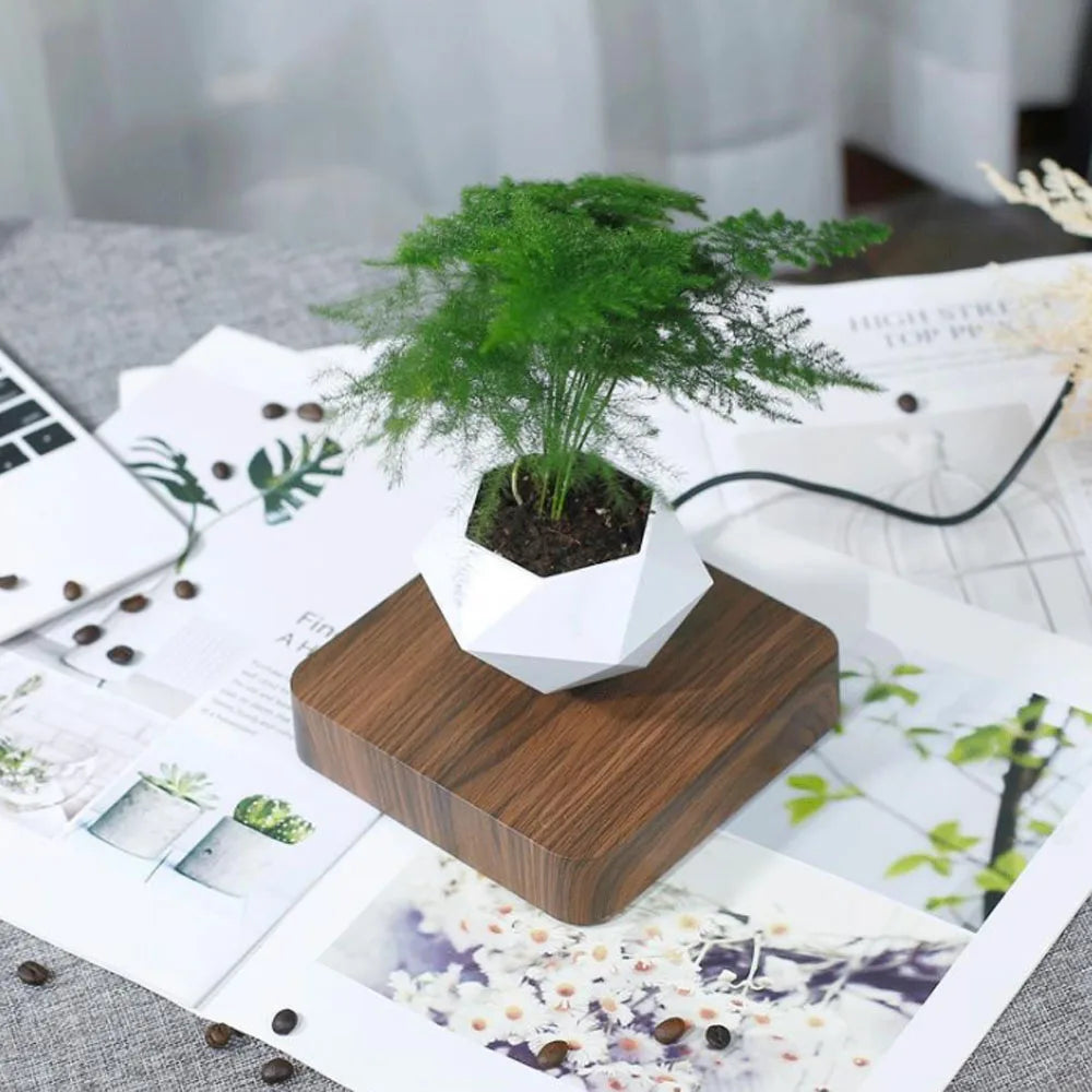 Pot bonsaï lévitant magnétique