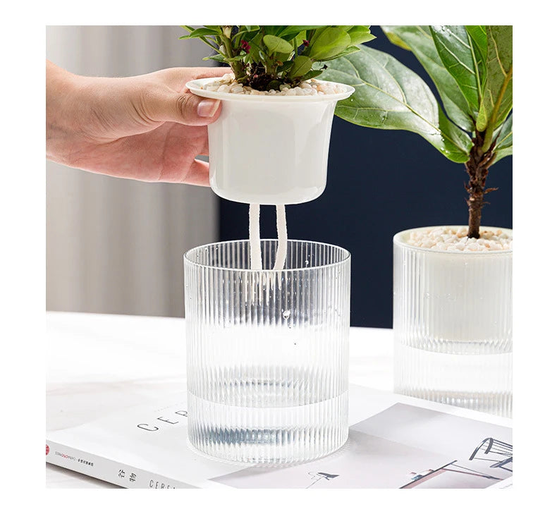 Pot auto-arrosant – Plantes succulentes & intérieur