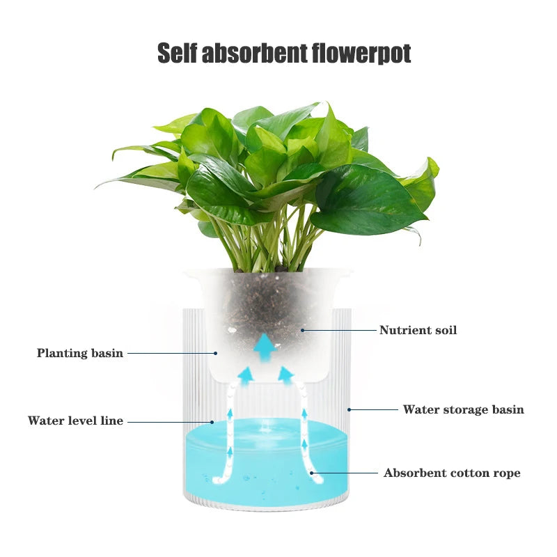 Pot auto-arrosant – Plantes succulentes & intérieur