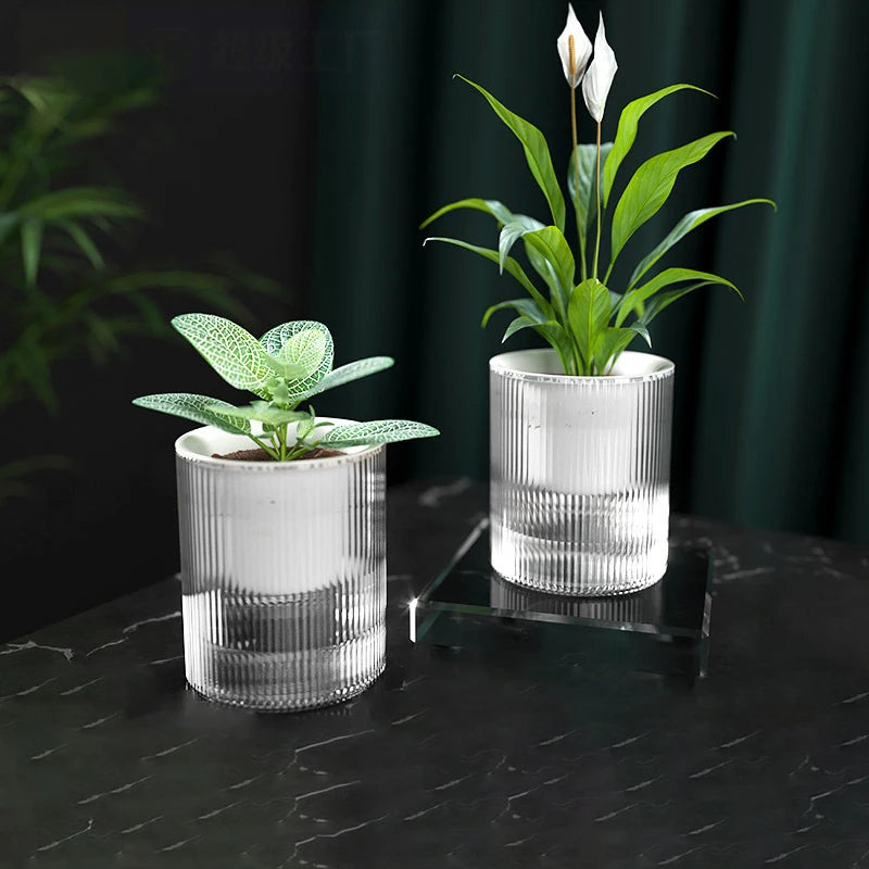 Pot auto-arrosant – Plantes succulentes & intérieur