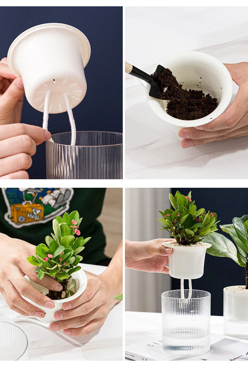 Pot auto-arrosant – Plantes succulentes & intérieur