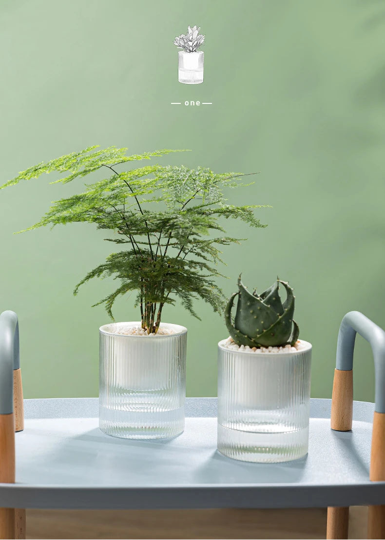 Pot auto-arrosant – Plantes succulentes & intérieur
