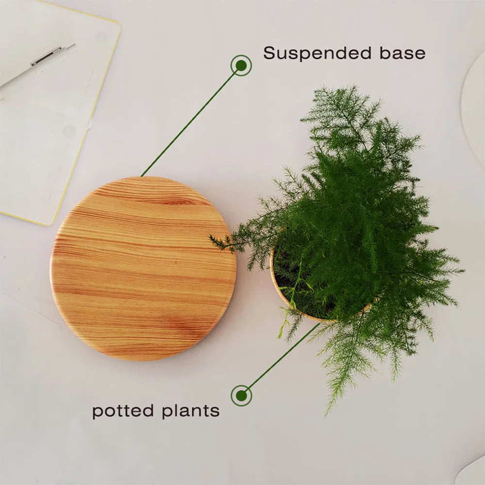 Pot bonsaï lévitant magnétique