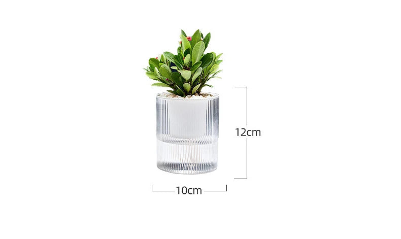 Pot auto-arrosant – Plantes succulentes & intérieur