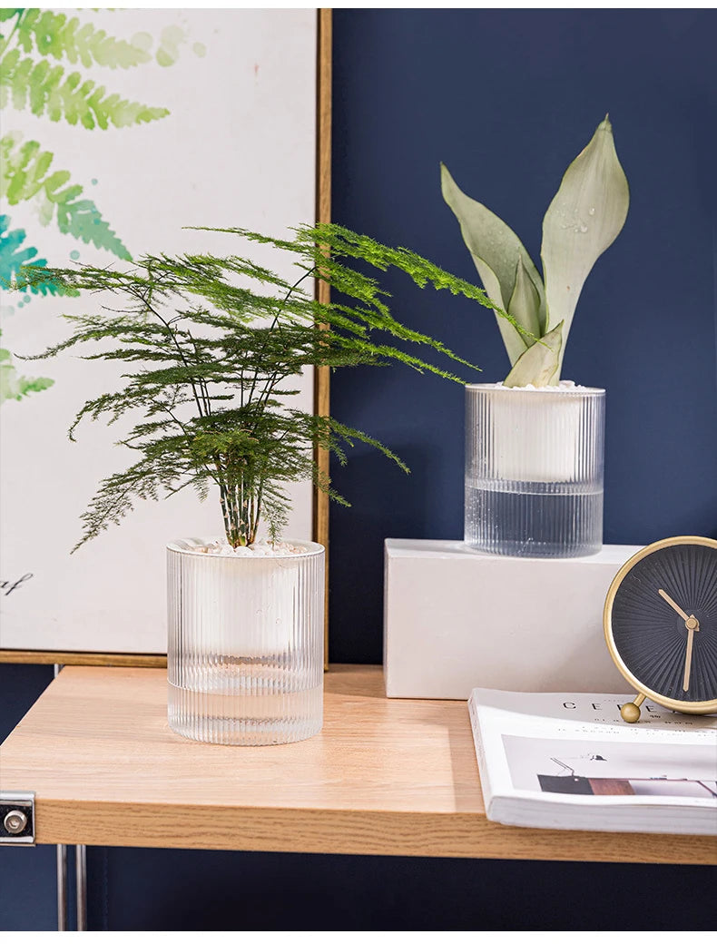 Pot auto-arrosant – Plantes succulentes & intérieur