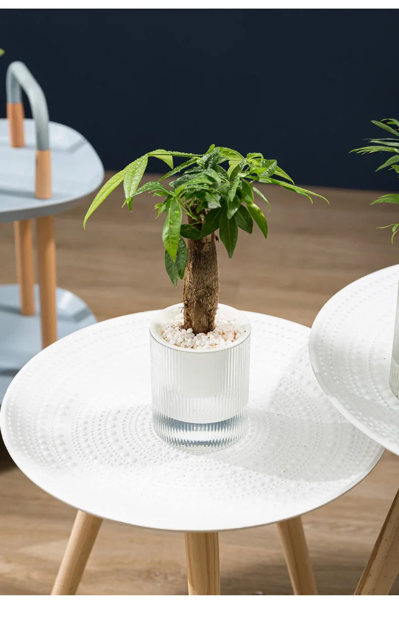 Pot auto-arrosant – Plantes succulentes & intérieur