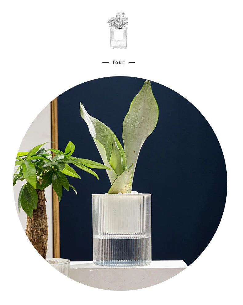 Pot auto-arrosant – Plantes succulentes & intérieur