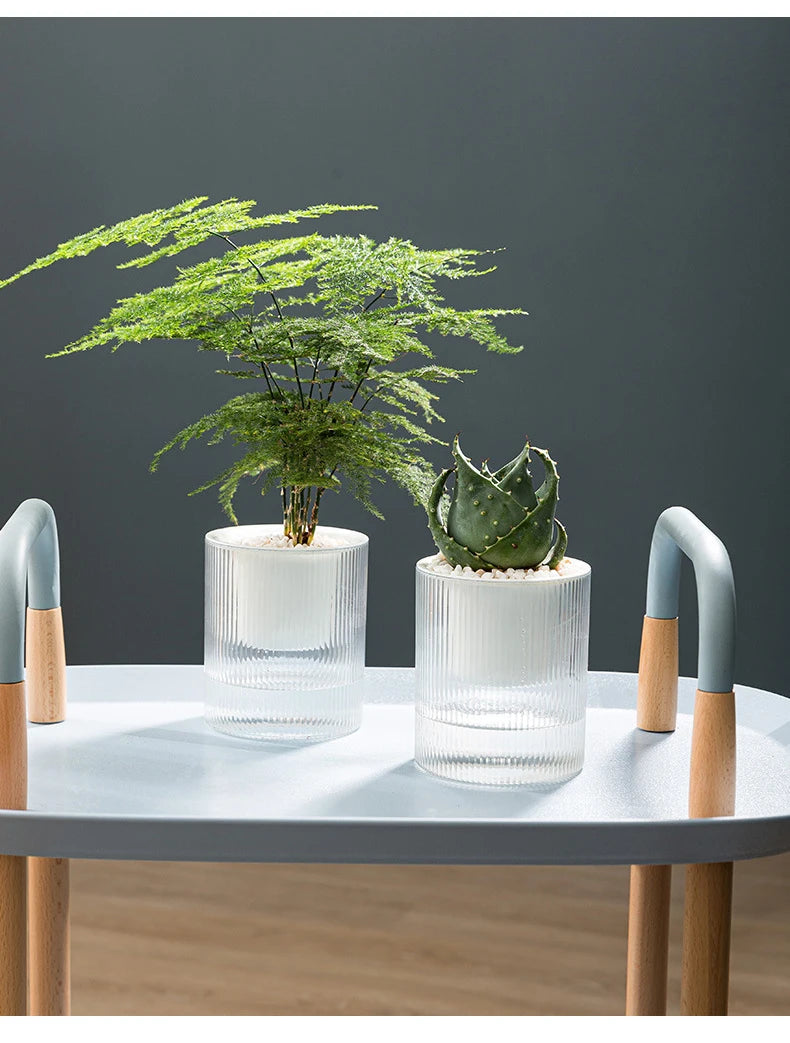 Pot auto-arrosant – Plantes succulentes & intérieur