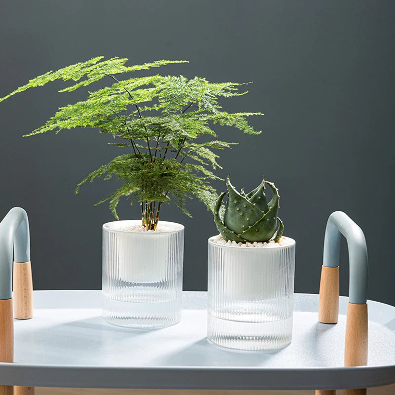 Pot auto-arrosant – Plantes succulentes & intérieur